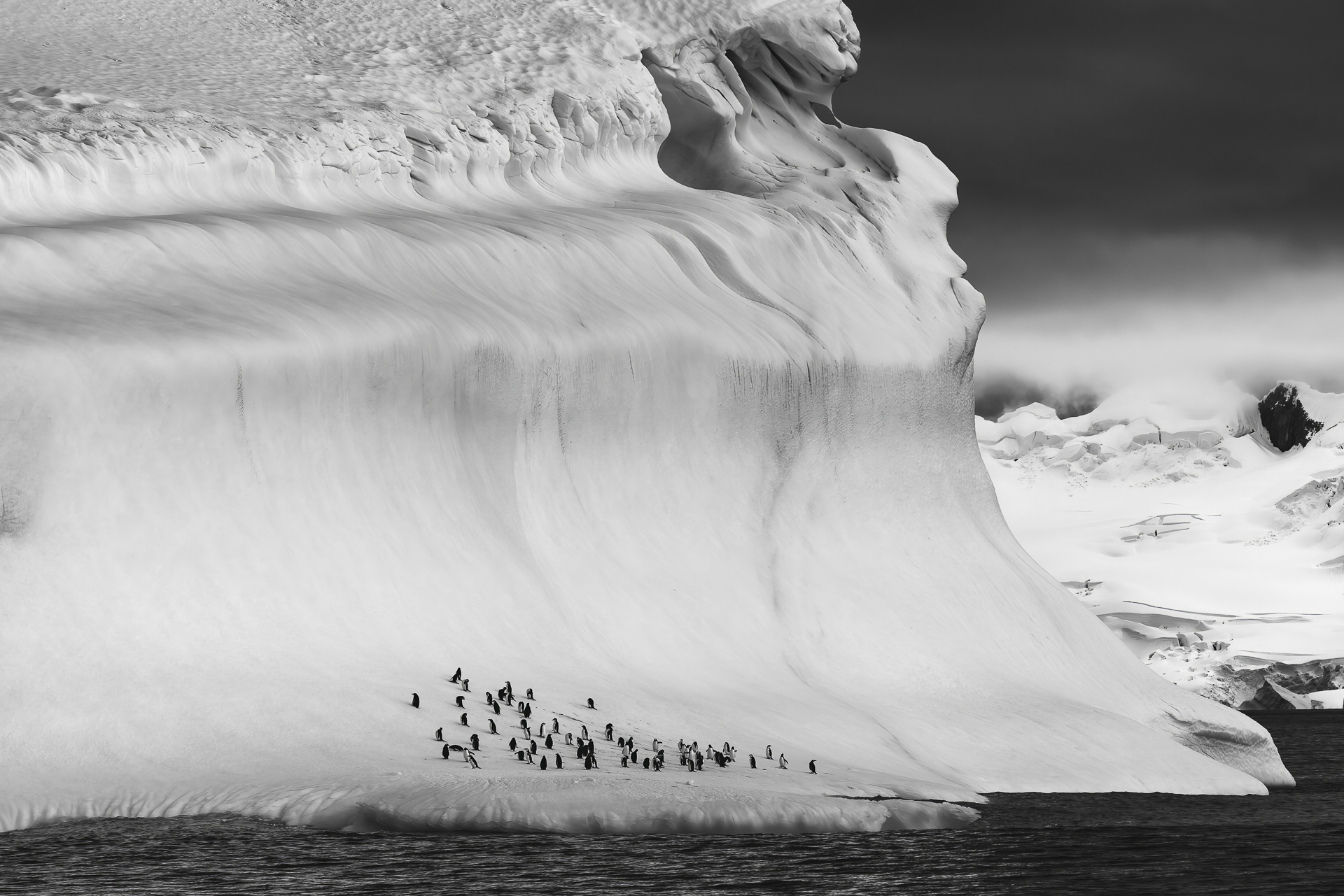 Elysium Antarctic - Book Special
