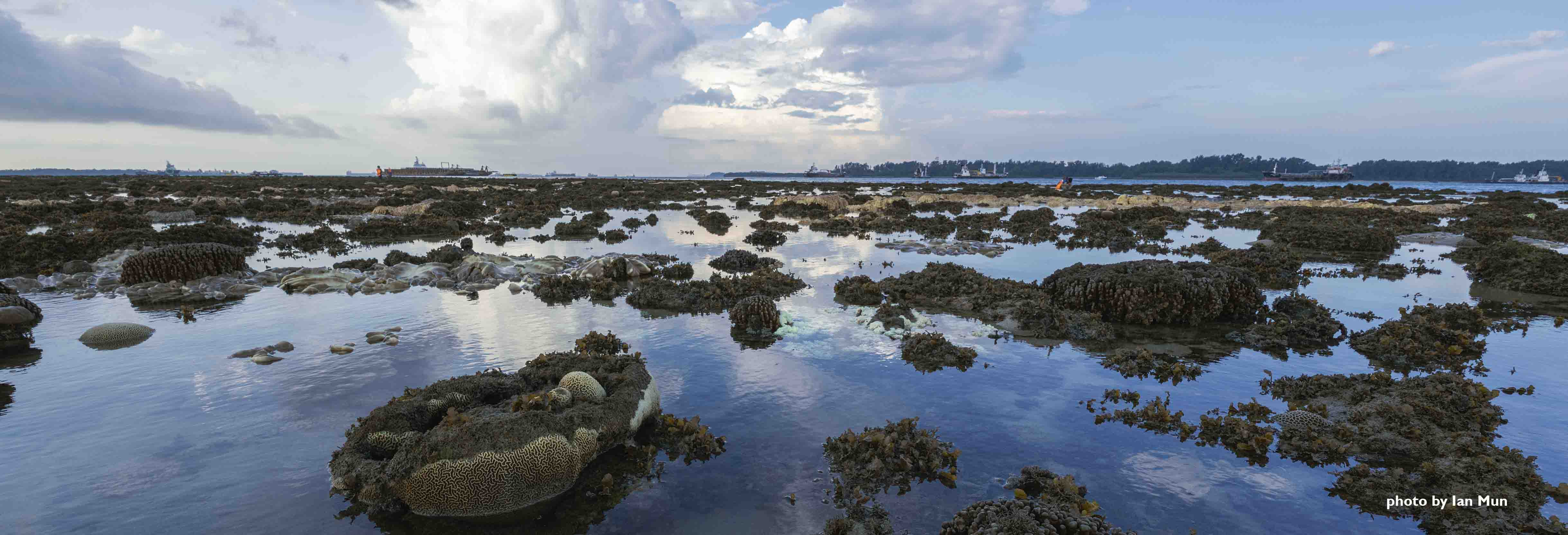 Singapore Western Island Reclamation Project