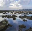 Singapore Western Island Reclamation Project