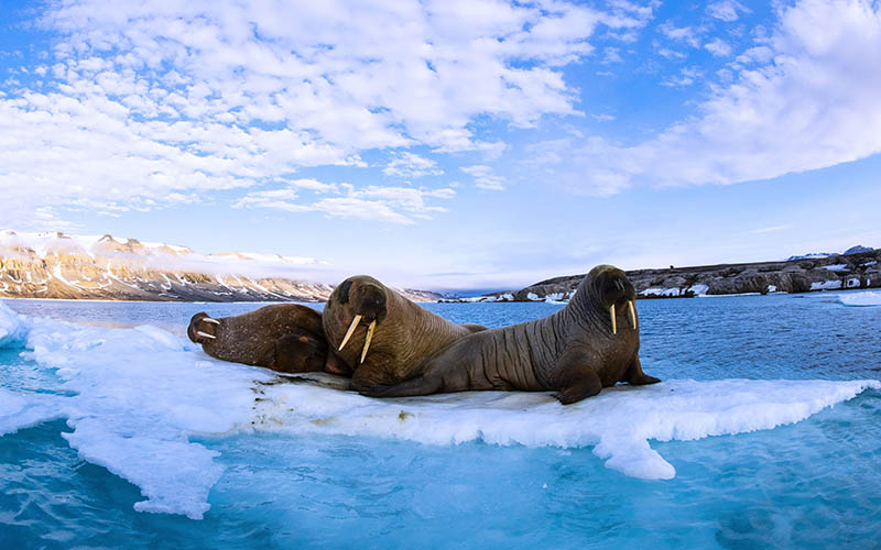 svalbard06 AWE3259
