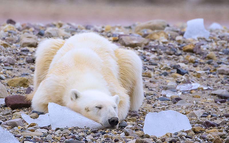 svalbard07 AWD9198